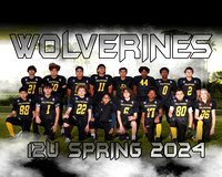 CAMDEN WOLVERINES