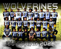 8X10 WOLVERINES 10U