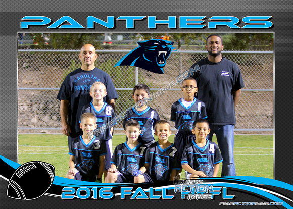 5X7 PANTHERS